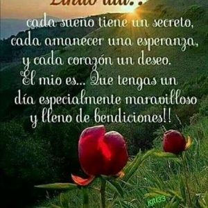 Meet your Posher, Regina